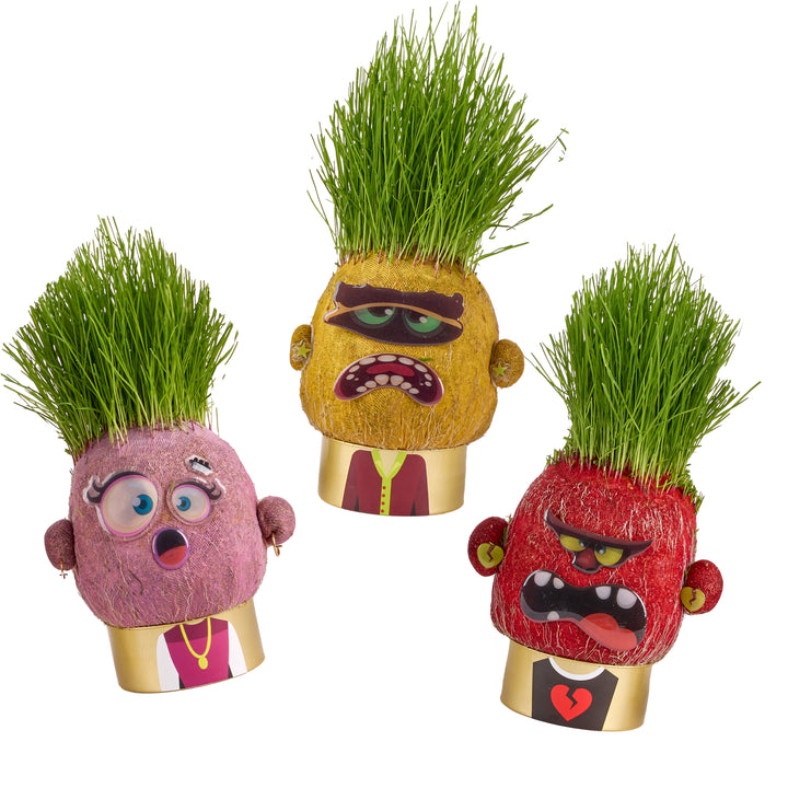 Plant Pals 3 Pack - Mary, Annie, & Sandra | Grow real grass hair to style and cut!