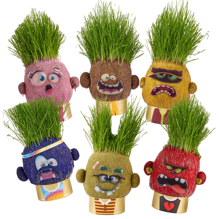Plant Pals 12 pack