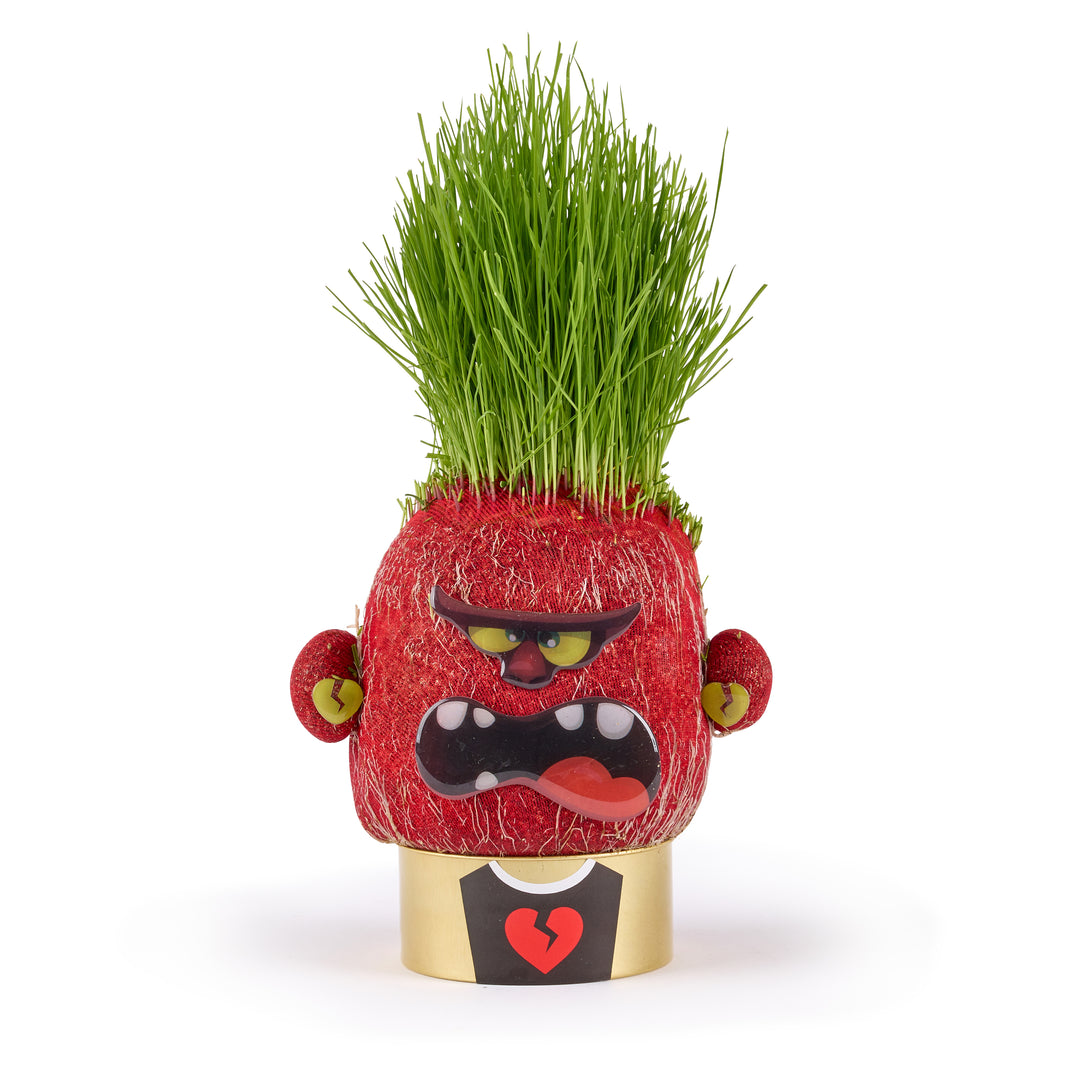 Plant Pals - Choose Your Pal - Easy to grow indoor plants for kids