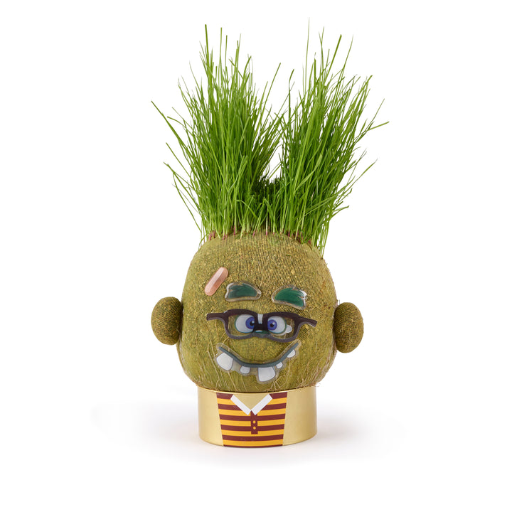 Plant Pals - Choose Your Pal - Easy to grow indoor plants for kids