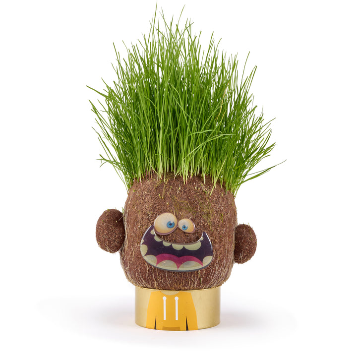 Plant Pals - Choose Your Pal - Easy to grow indoor plants for kids