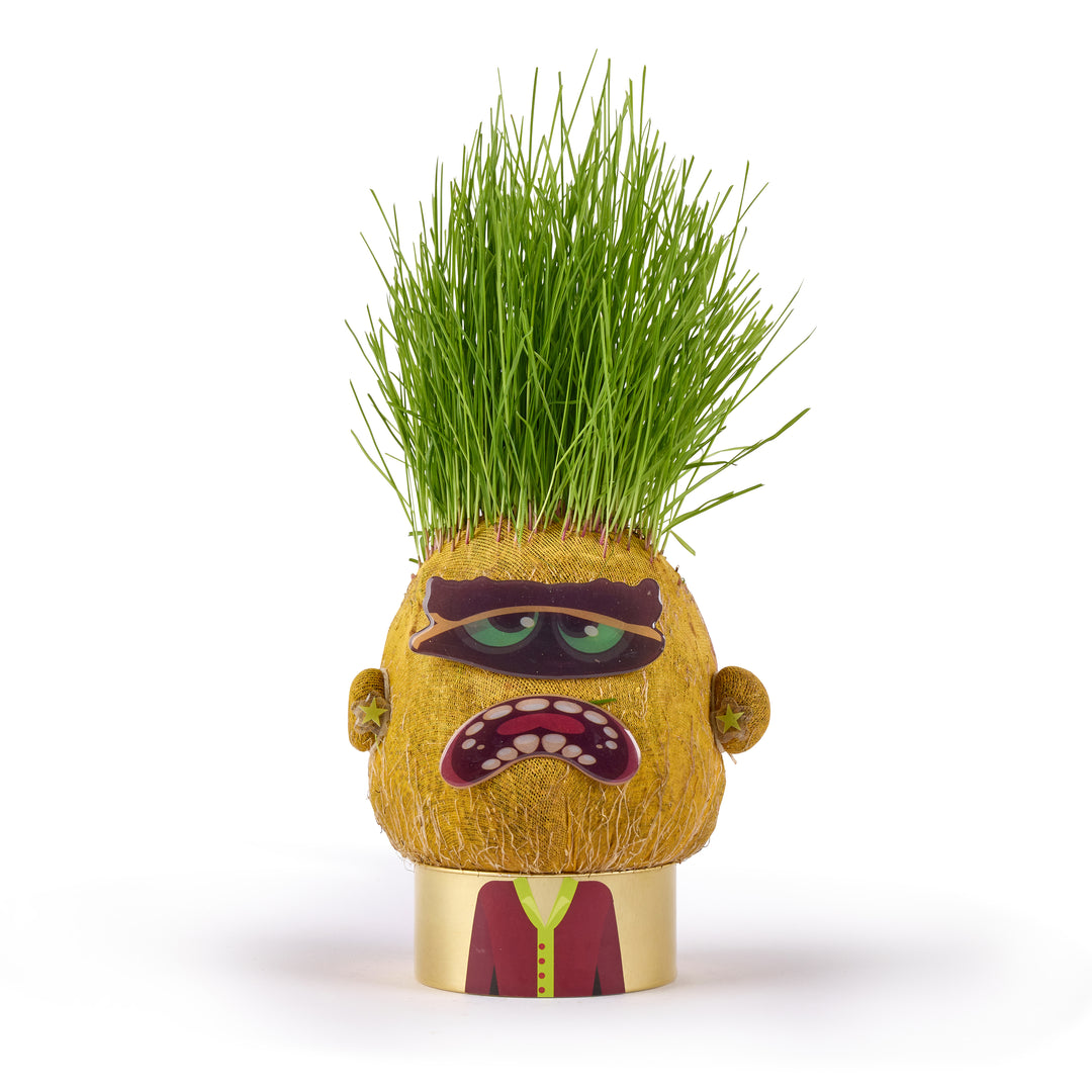 Plant Pals - Choose Your Pal - Easy to grow indoor plants for kids