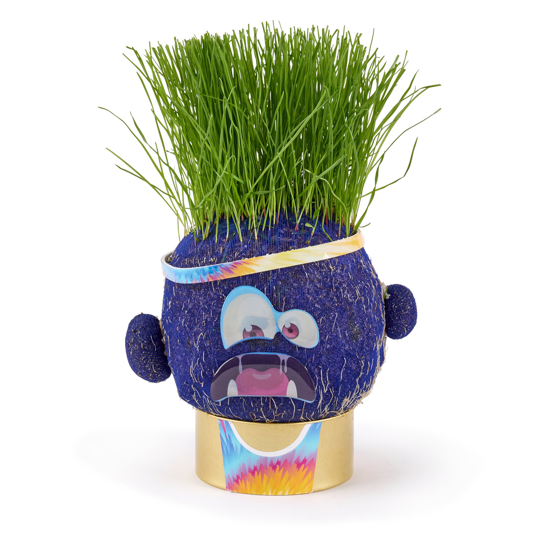 Plant Pals - Choose Your Pal - Easy to grow indoor plants for kids