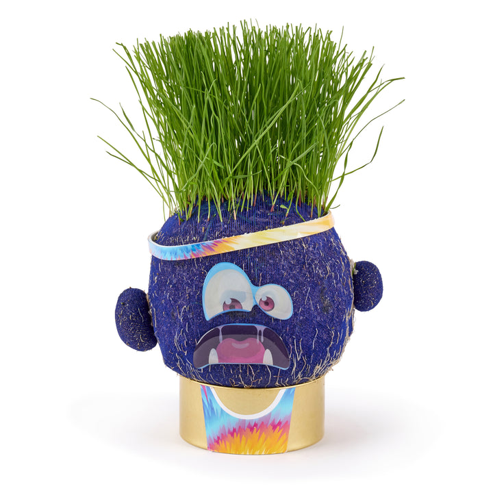 Plant Pals - Choose Your Pal - Easy to grow indoor plants for kids