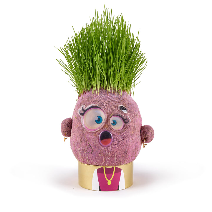 Plant Pals - Choose Your Pal - Easy to grow indoor plants for kids