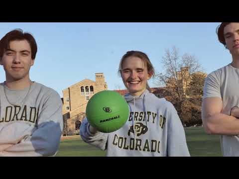 Bamzball Game with 2ct Balls